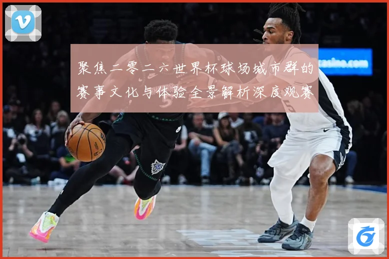 聚焦二零二六世界杯球场城市群的赛事文化与体验全景解析深度观赛事前瞻-深度解析
