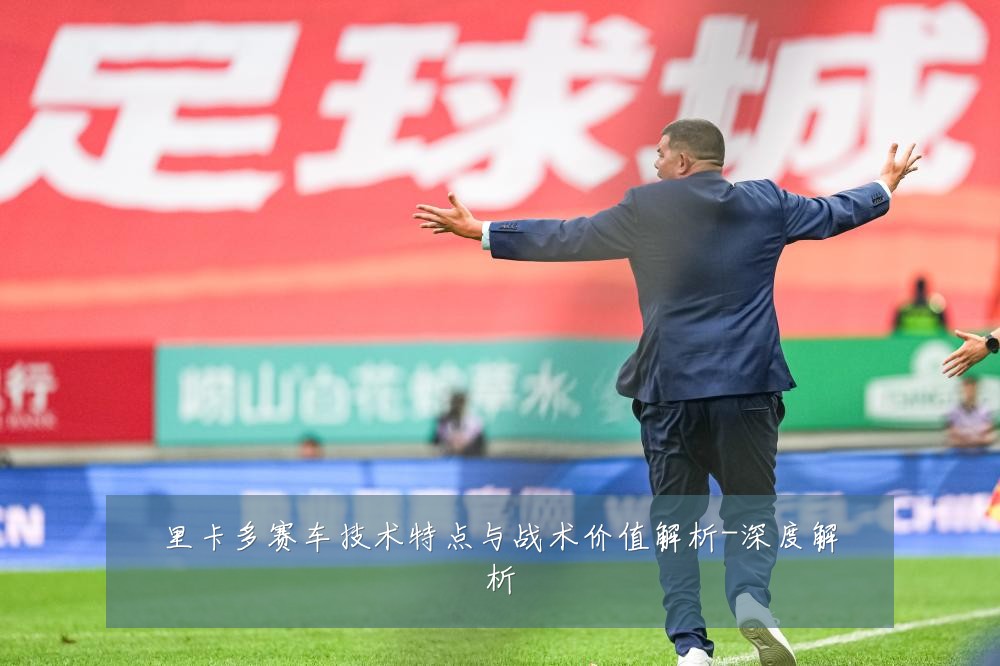 里卡多赛车技术特点与战术价值解析-深度解析